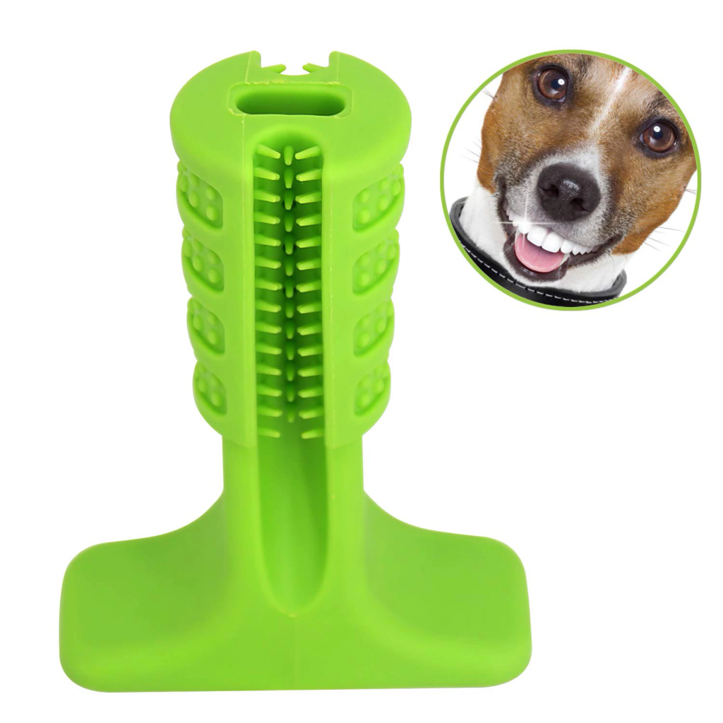 Dog Tooth Cleaning